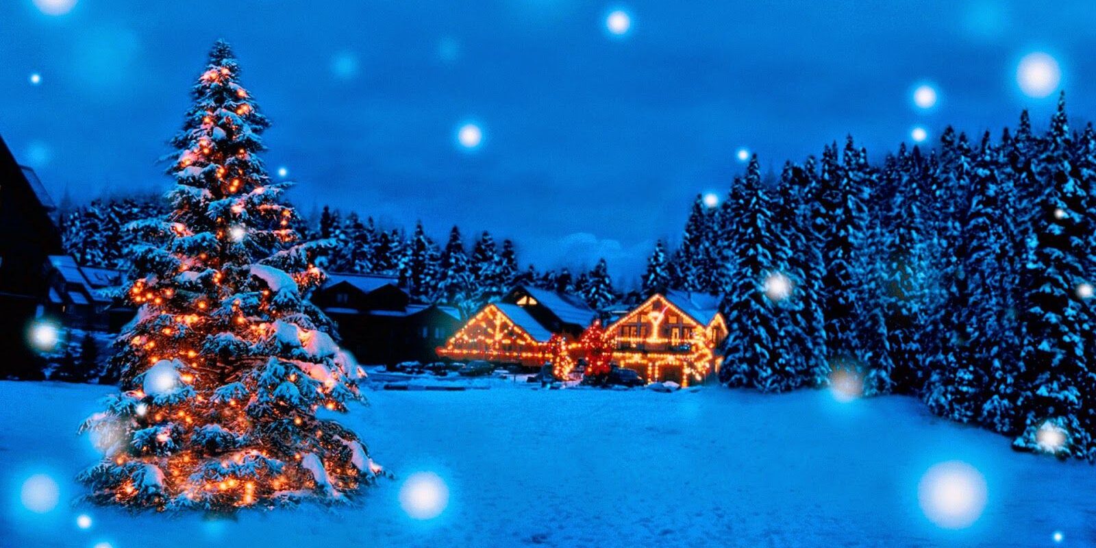 82156 christmas opening times